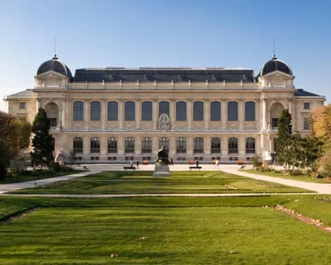 Historic Golden Specimens Stolen in Bold Heist at France's National Museum